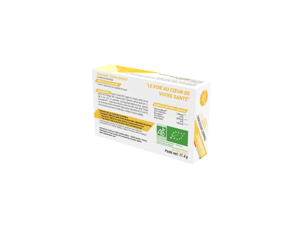 Desmodryl_TRANSIT 40.2.webp